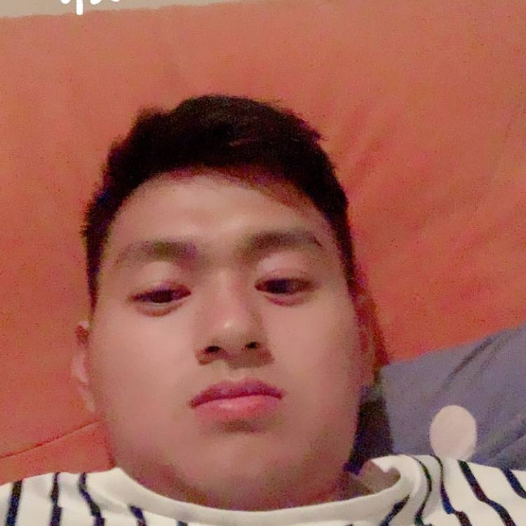 寻熏风的照片