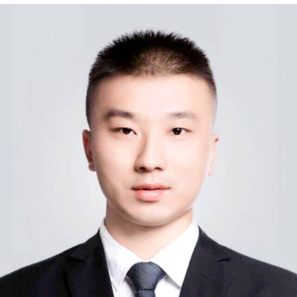 发夹拿美好的照片