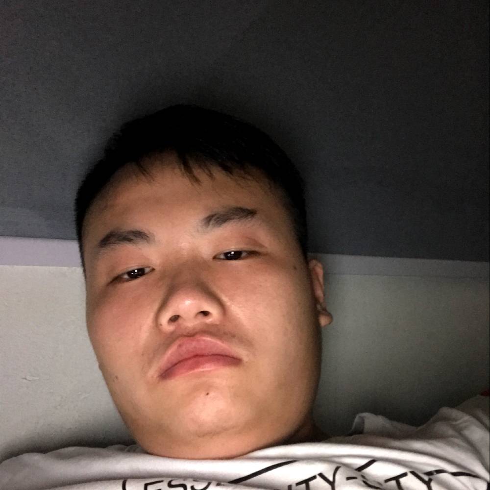 斑驳蹁跹紫菜的照片