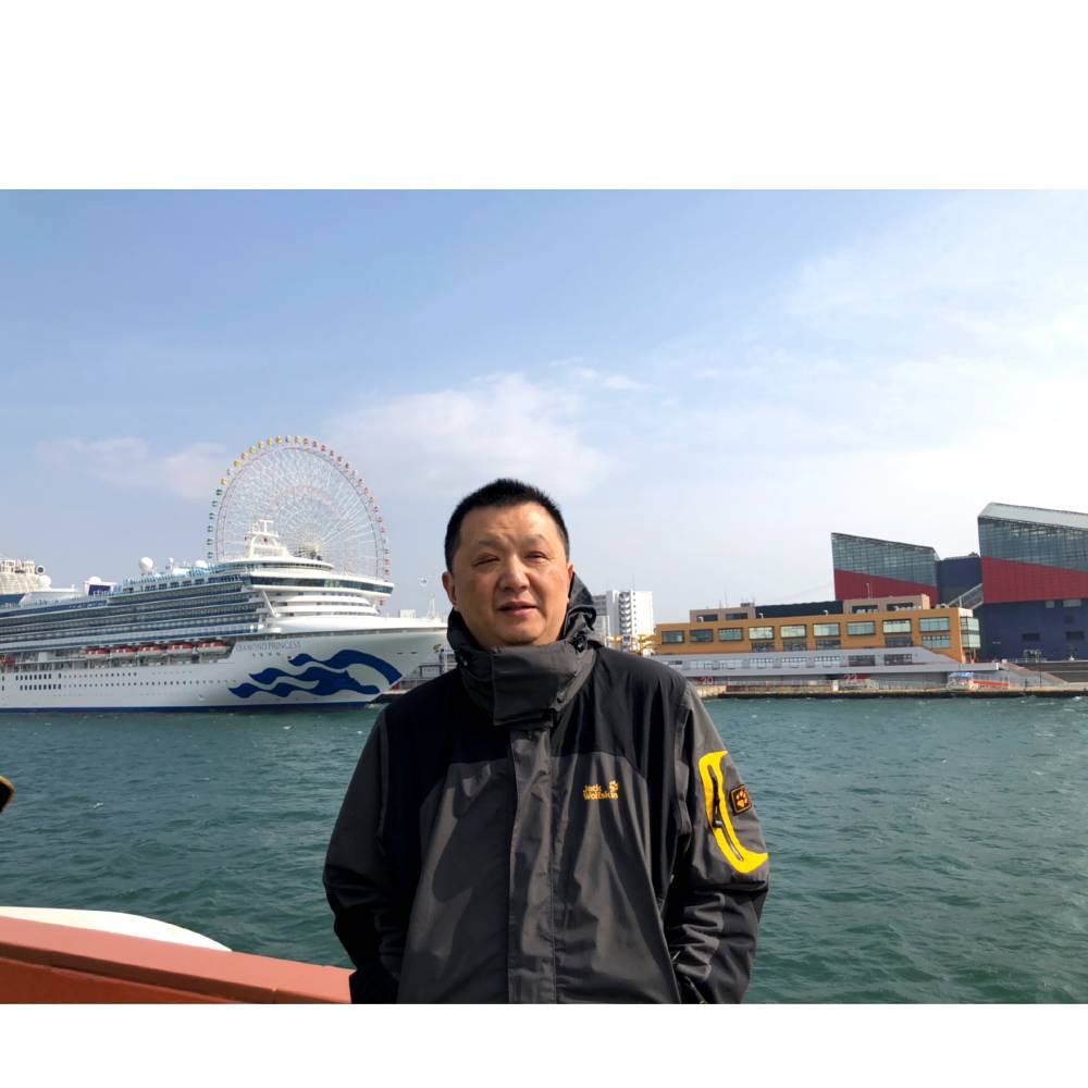 小猫咪激动的照片