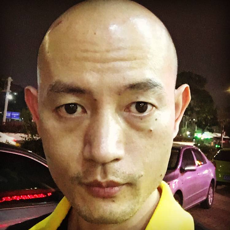 飞鸟那安静的照片