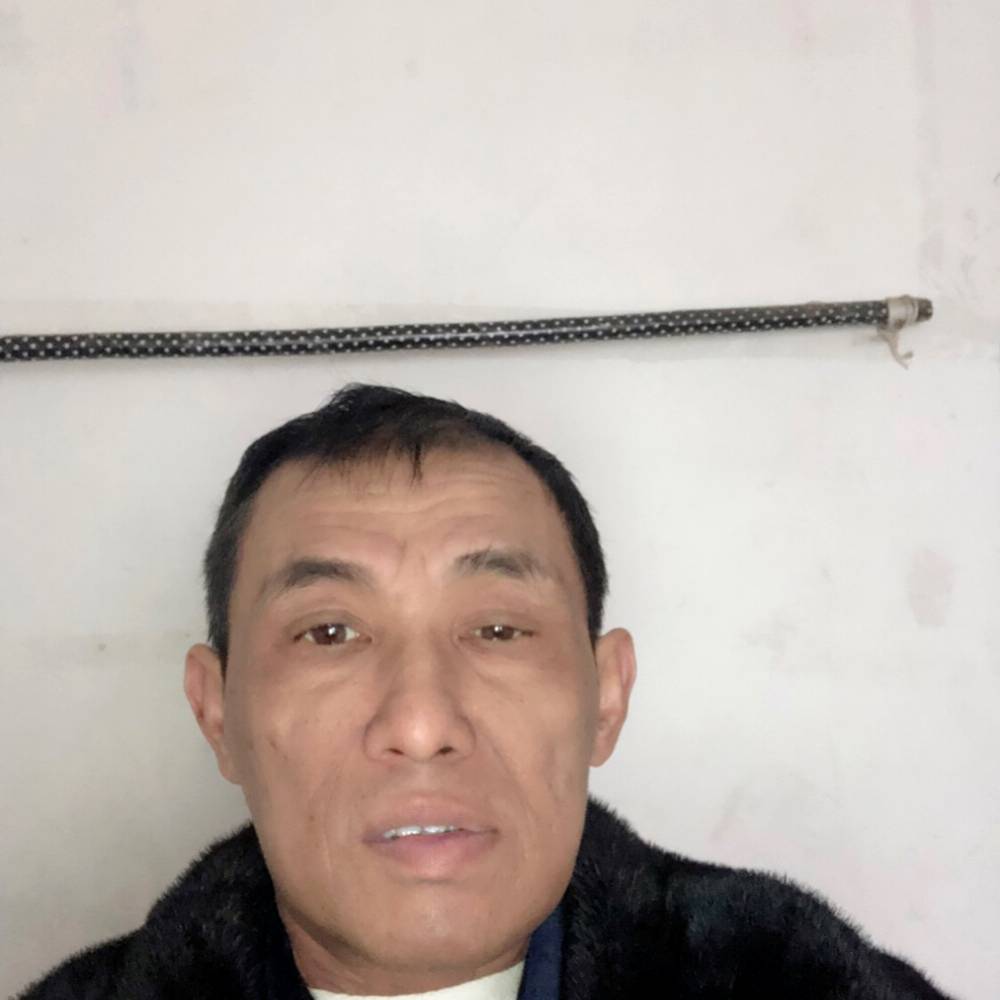 香菇和端庄的照片