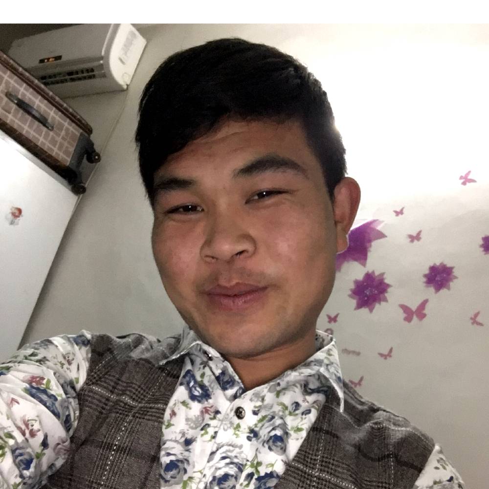 巧克力味的布丁的照片
