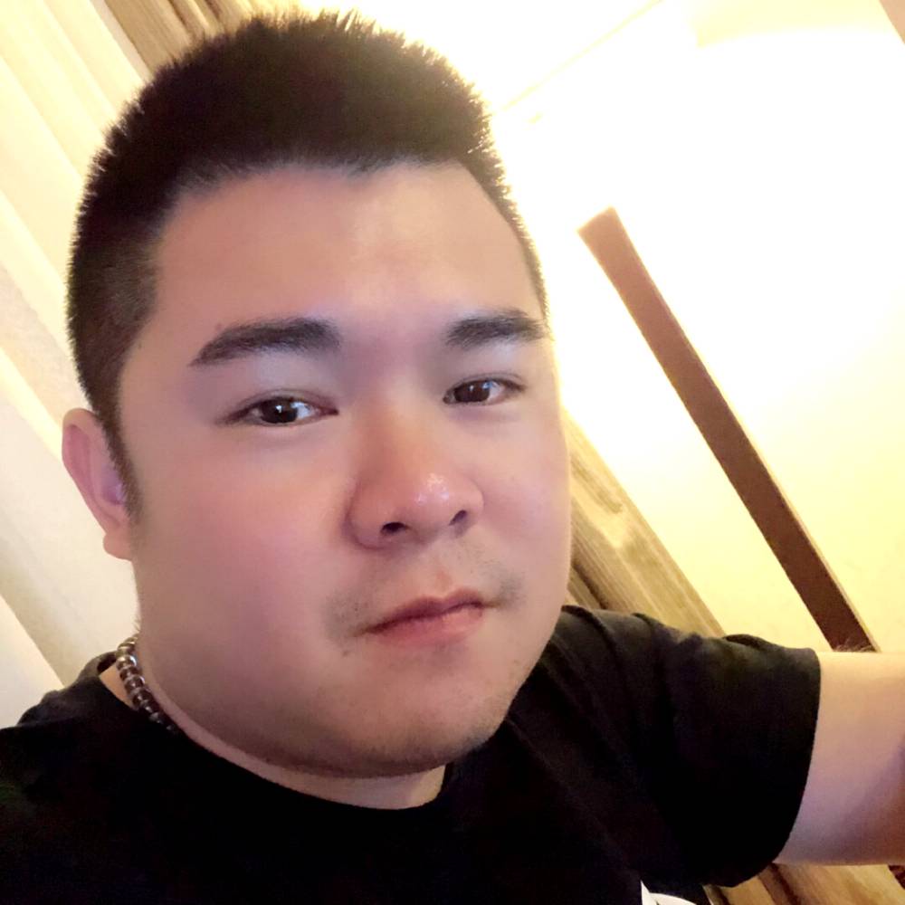 一只小毛驴zz的照片