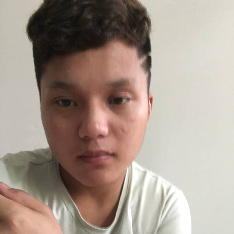 浮生有小鸽子的照片