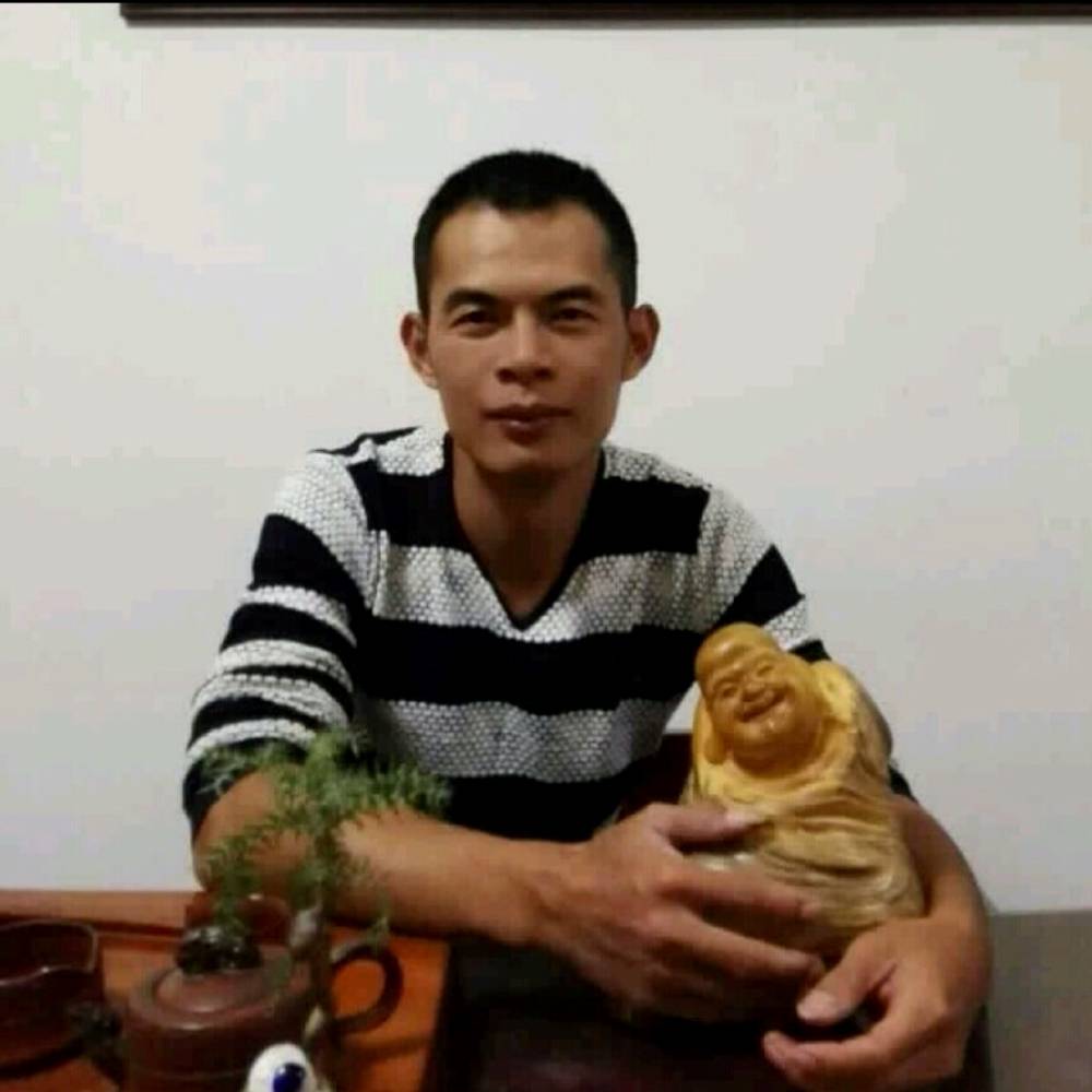 鑫龙金鱼的照片