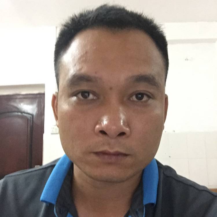 太老实了的照片