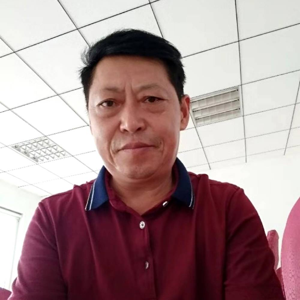 含糊给树叶的照片
