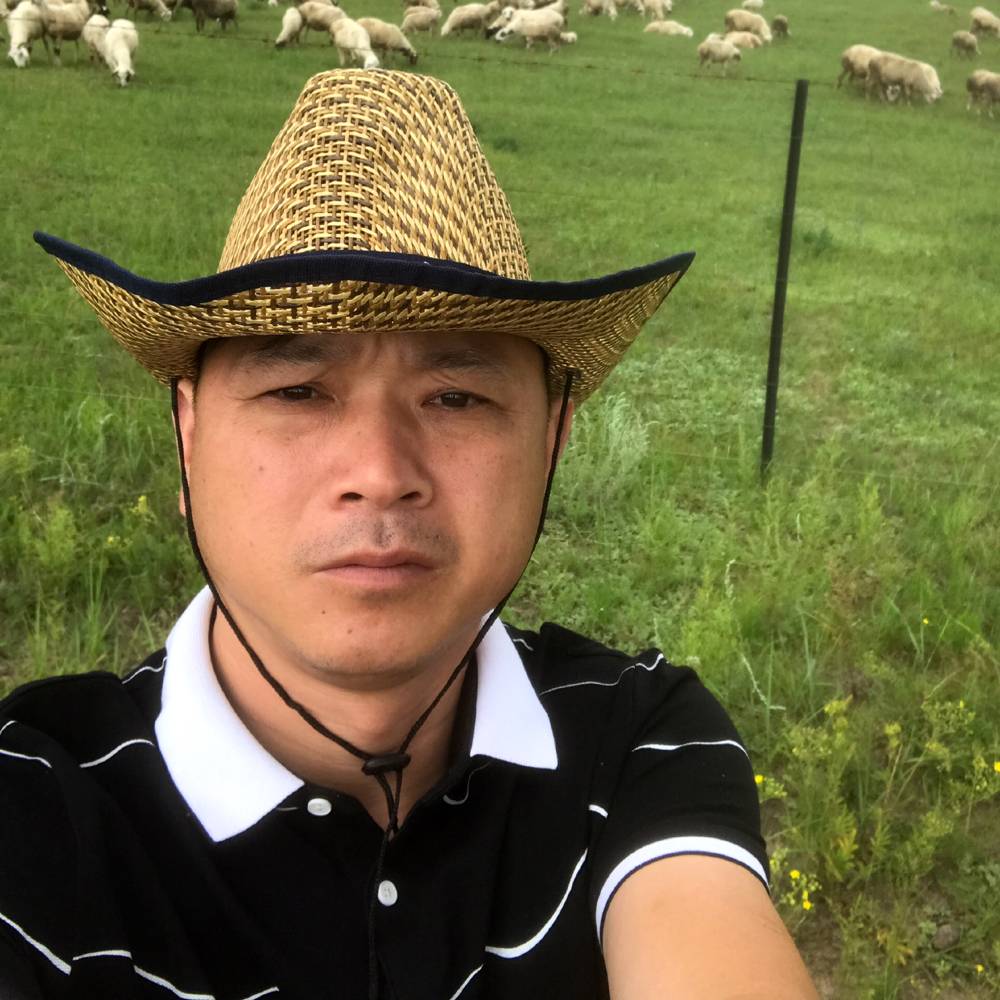 热狗威武霸气的照片