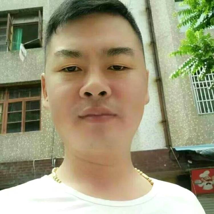 狗多么难过的照片