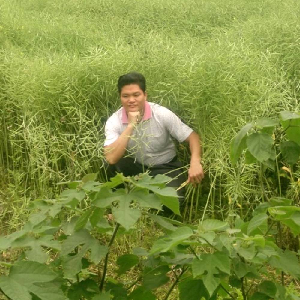 冬天忧郁的照片