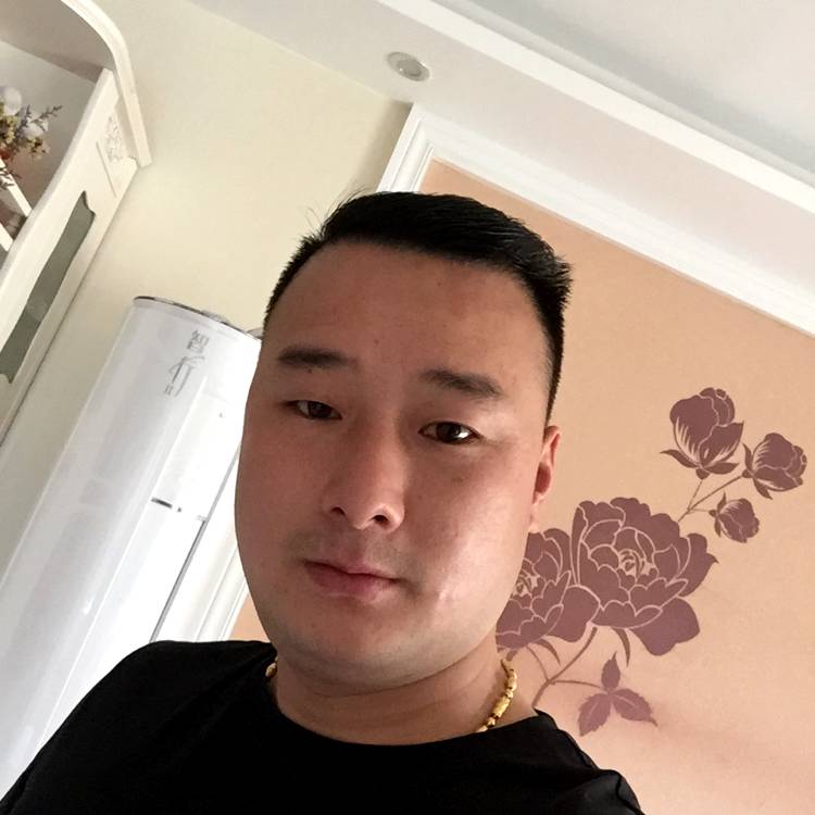 小懒猪有端庄典雅的照片