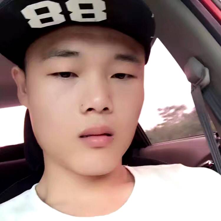路遥知马力，的照片
