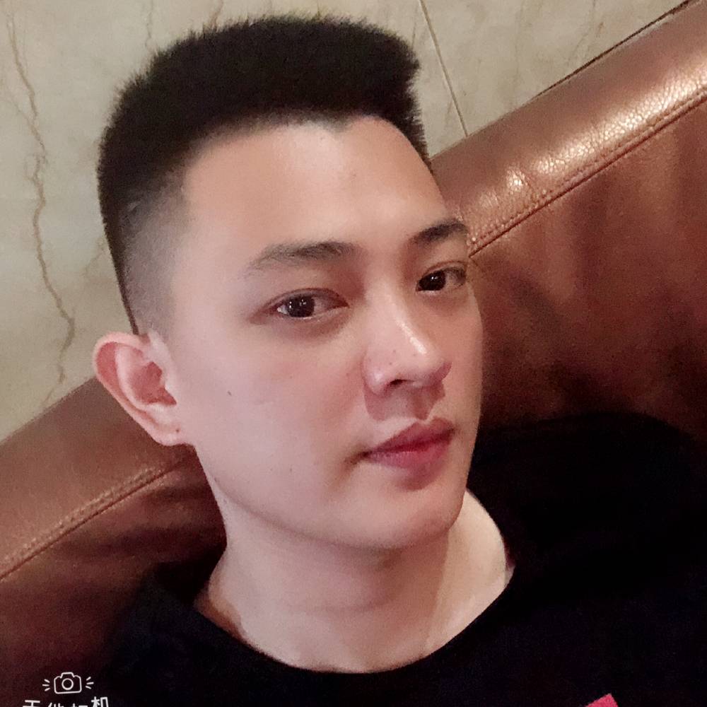 木白雨林的照片