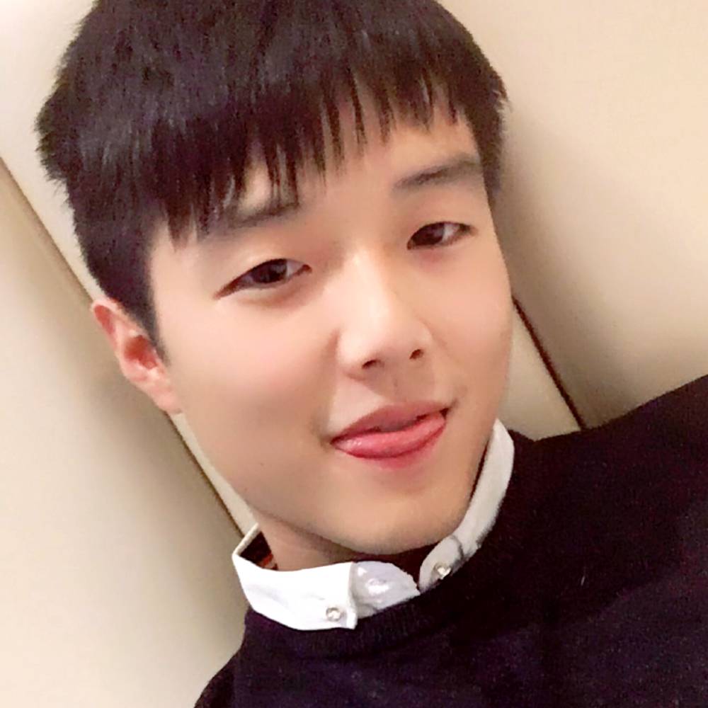 小海豚浅吻流年的的照片