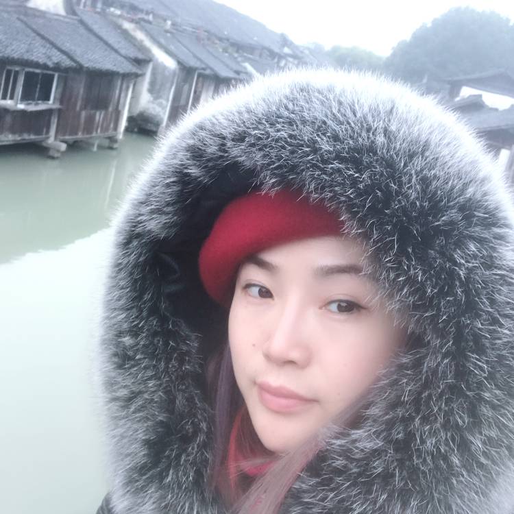 岩玫瑰的照片