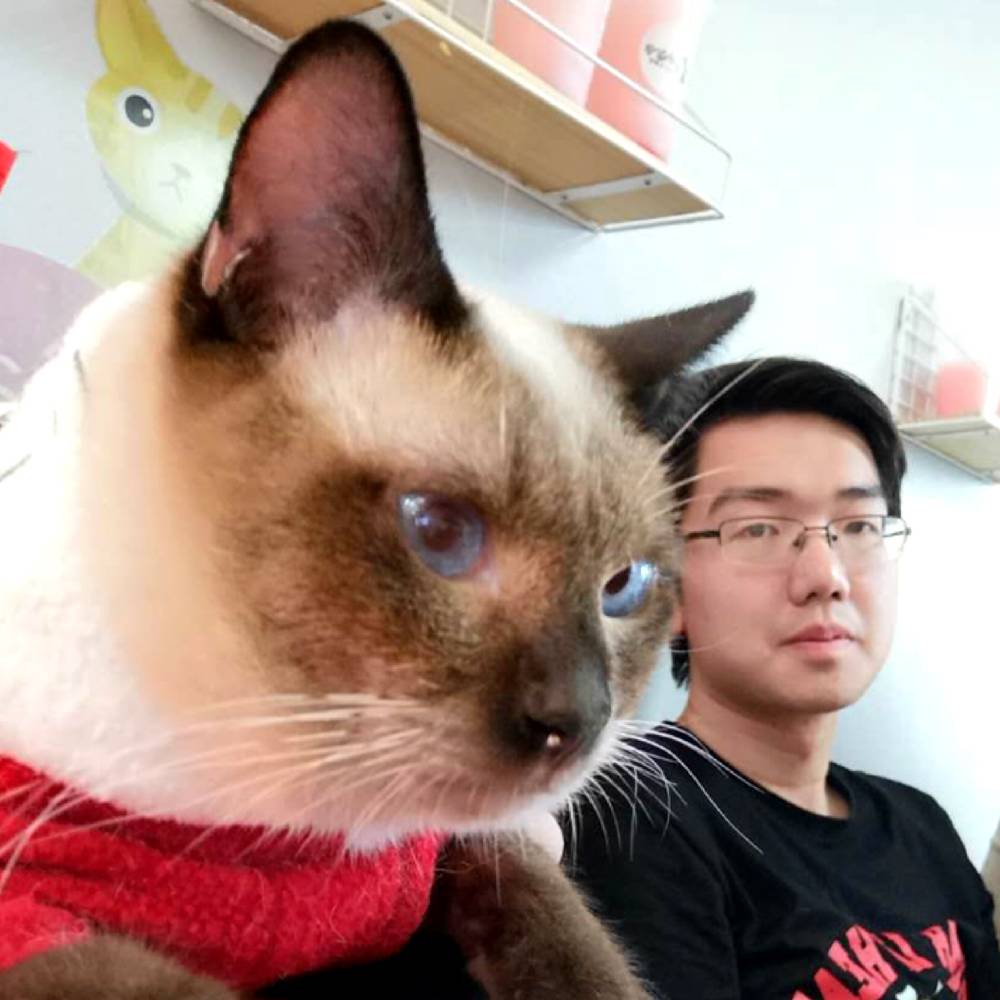 花生零碎的照片