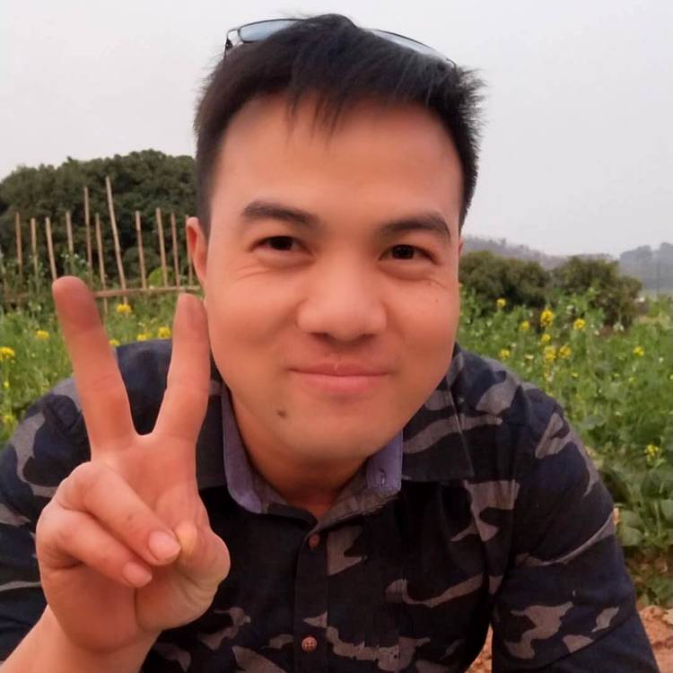 寻梦白杨的照片