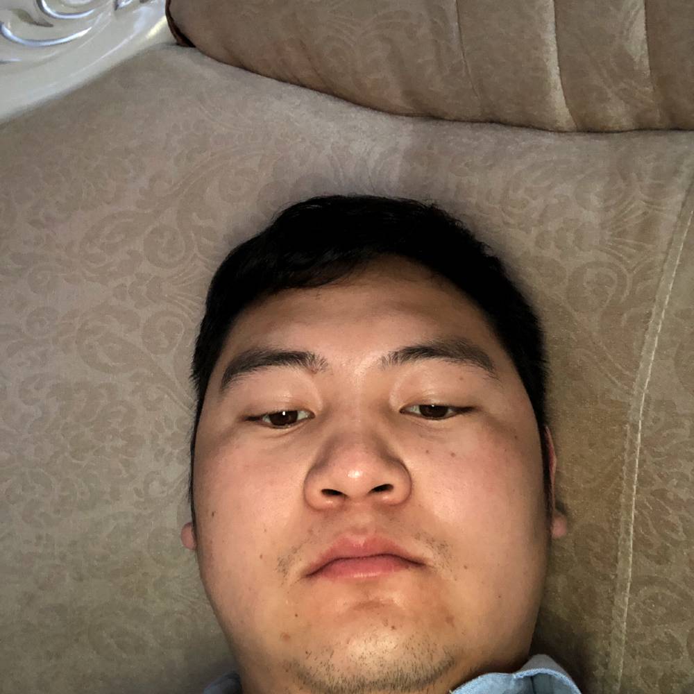 飞更高的照片