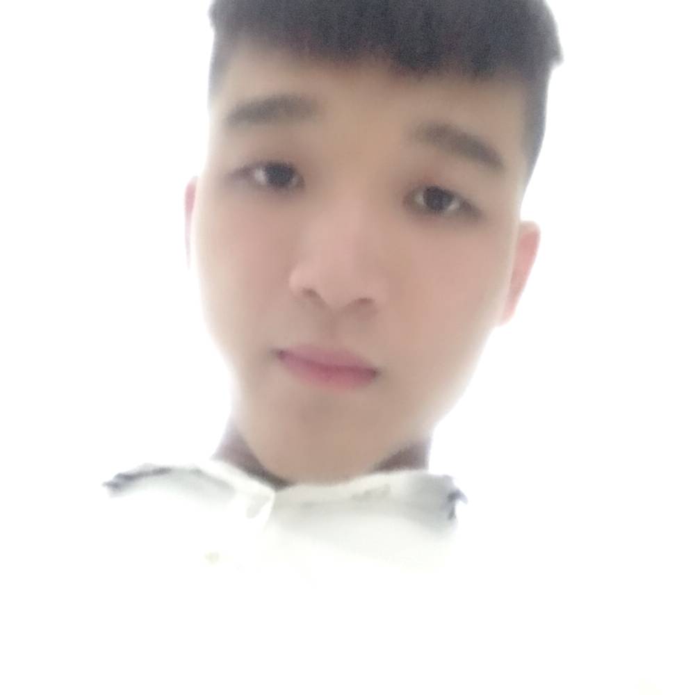 狗挽手现实的照片