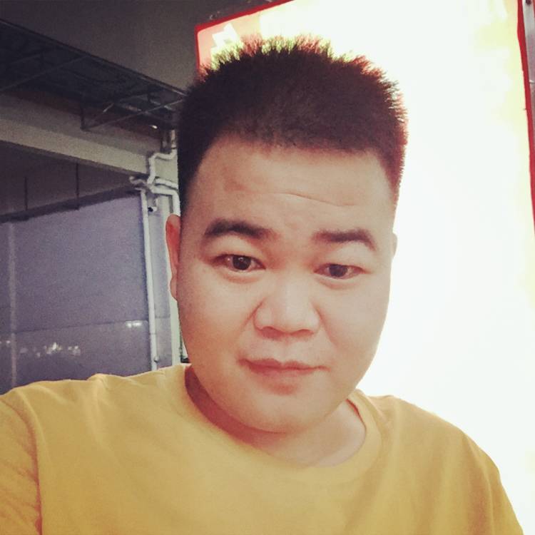 年轻回眸树叶的照片