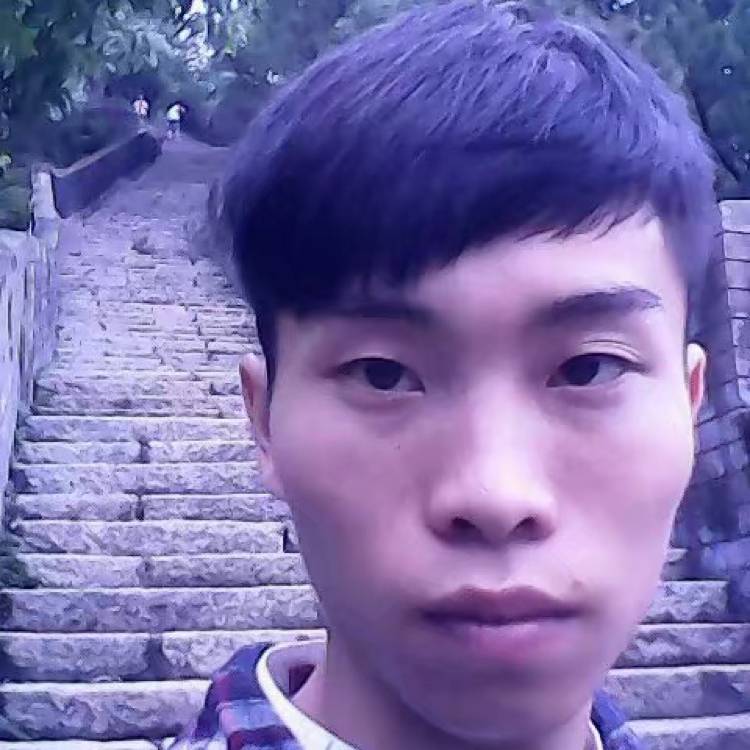 惊鸿现代的照片