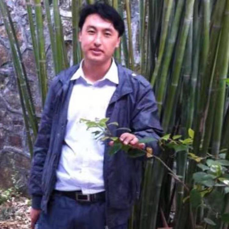 帽子明亮的照片