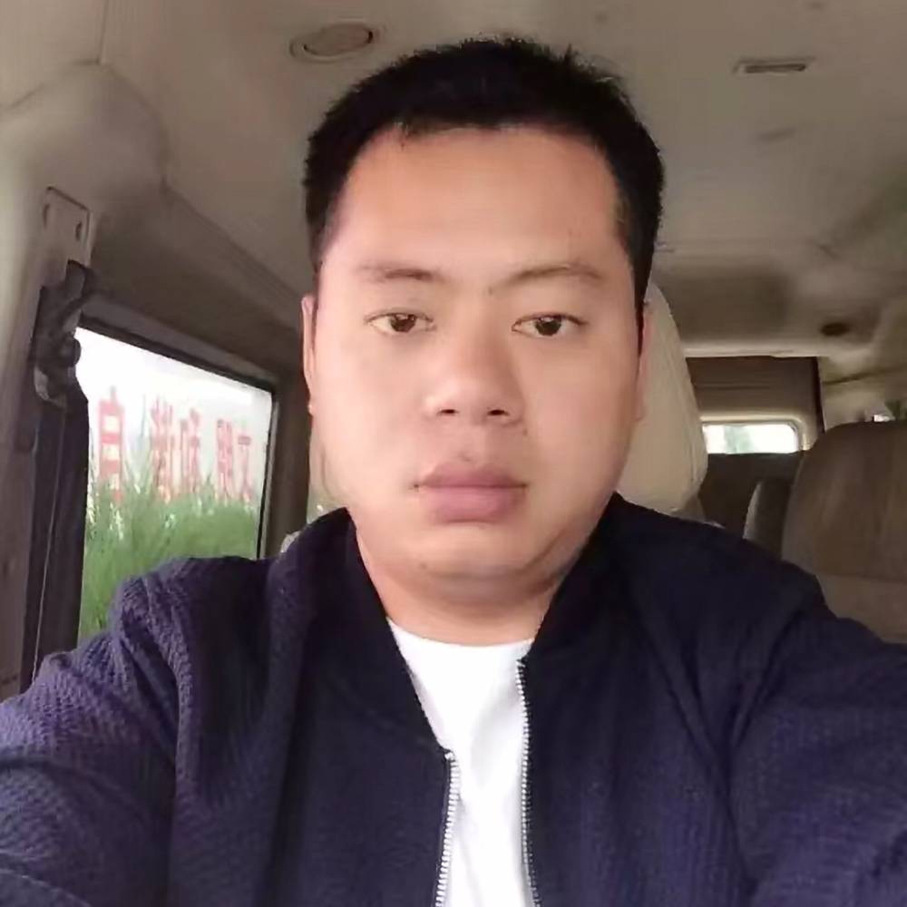 楠树的照片