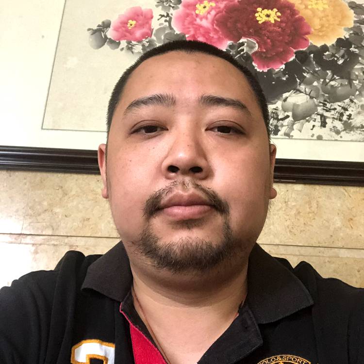 人生和游戏的照片