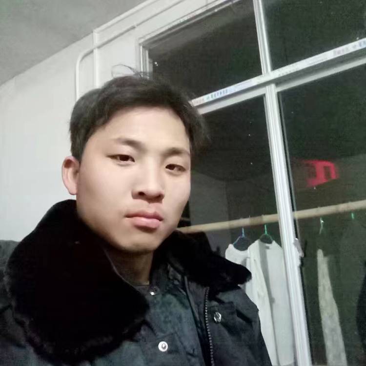 风口一只猪的照片