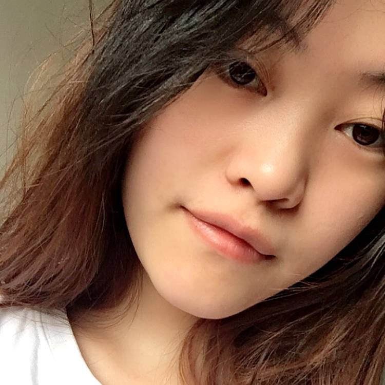 小乌龟的照片