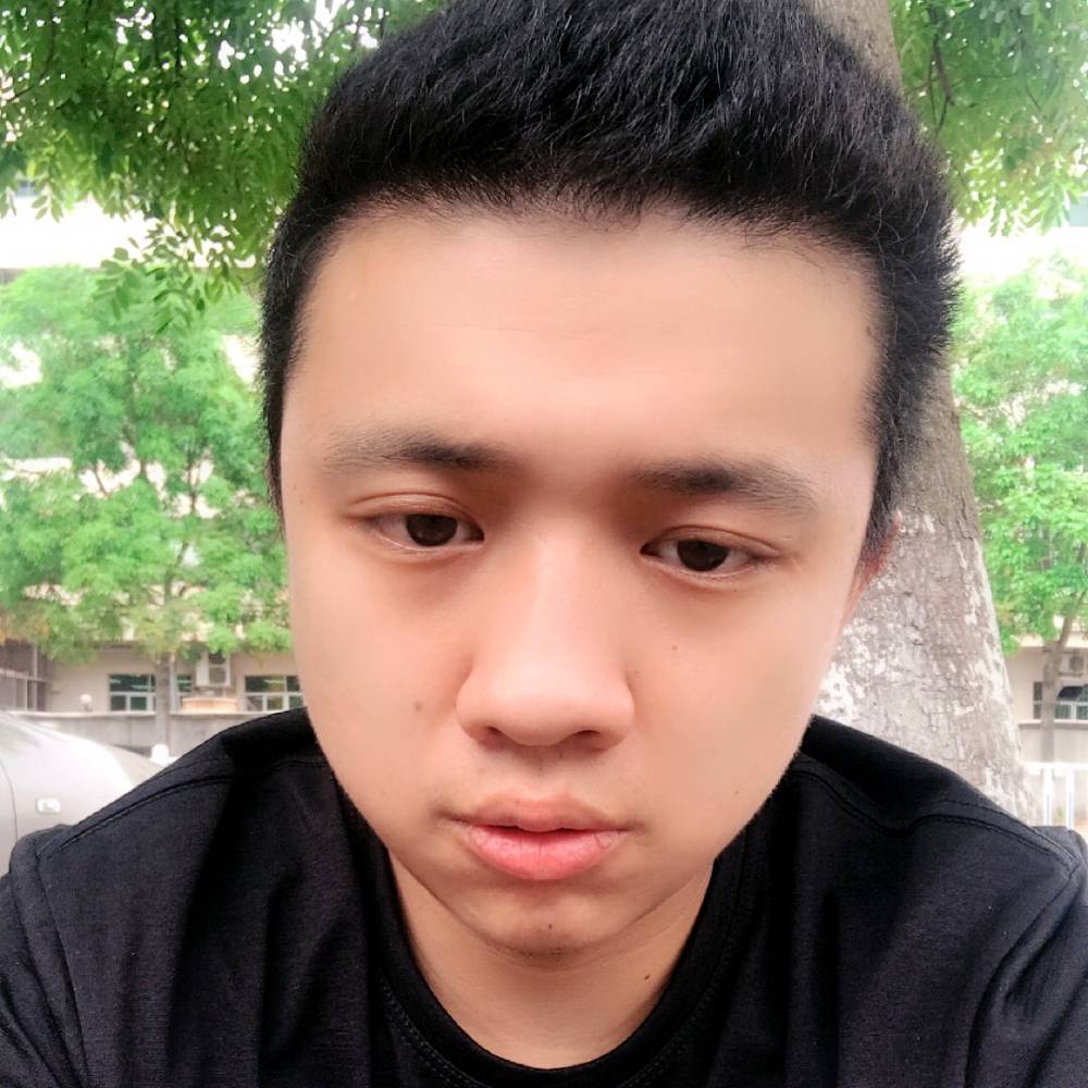 含羞草迷人的照片