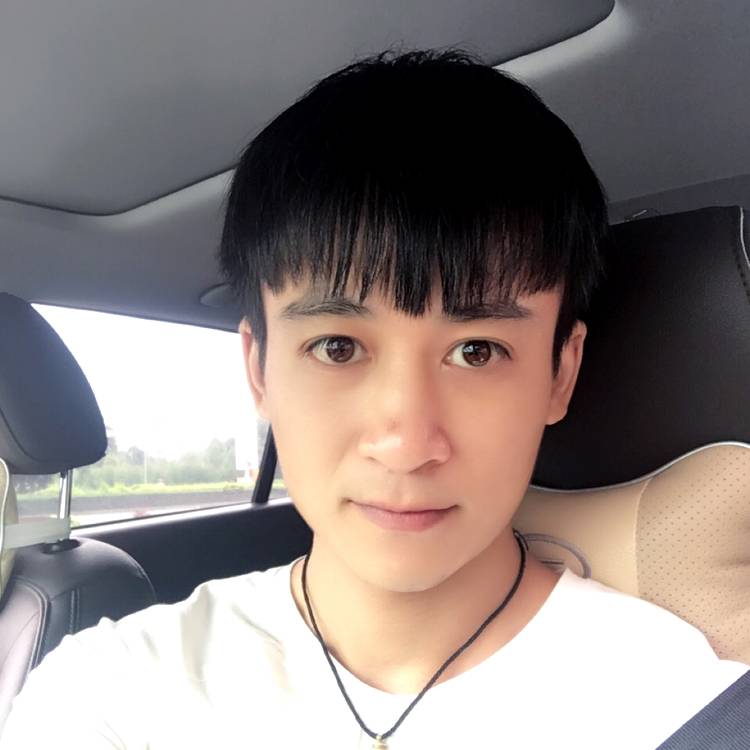 费迪南的照片