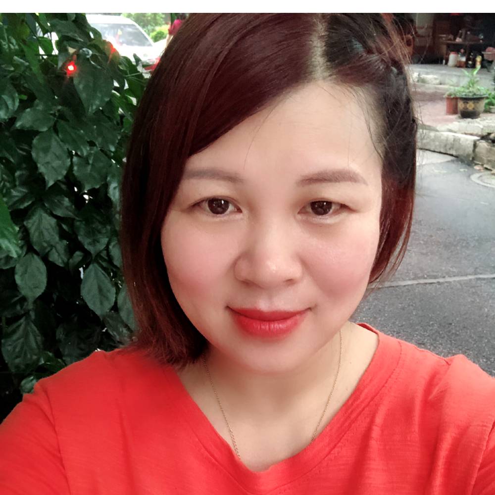 乌龟我们的的照片