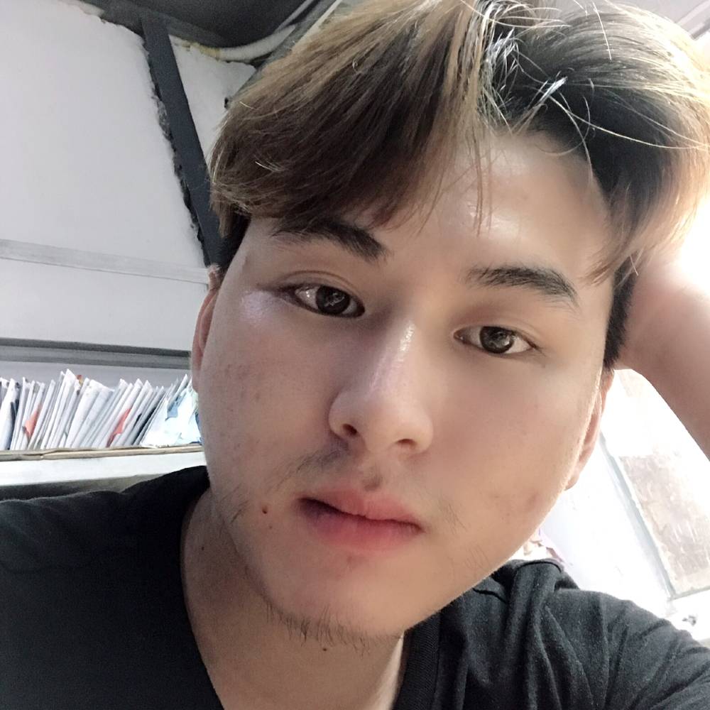 摇尾乞怜的狗的照片