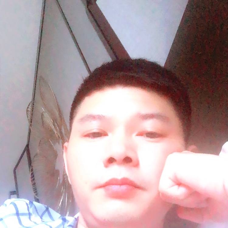 小鸭子沉静的照片