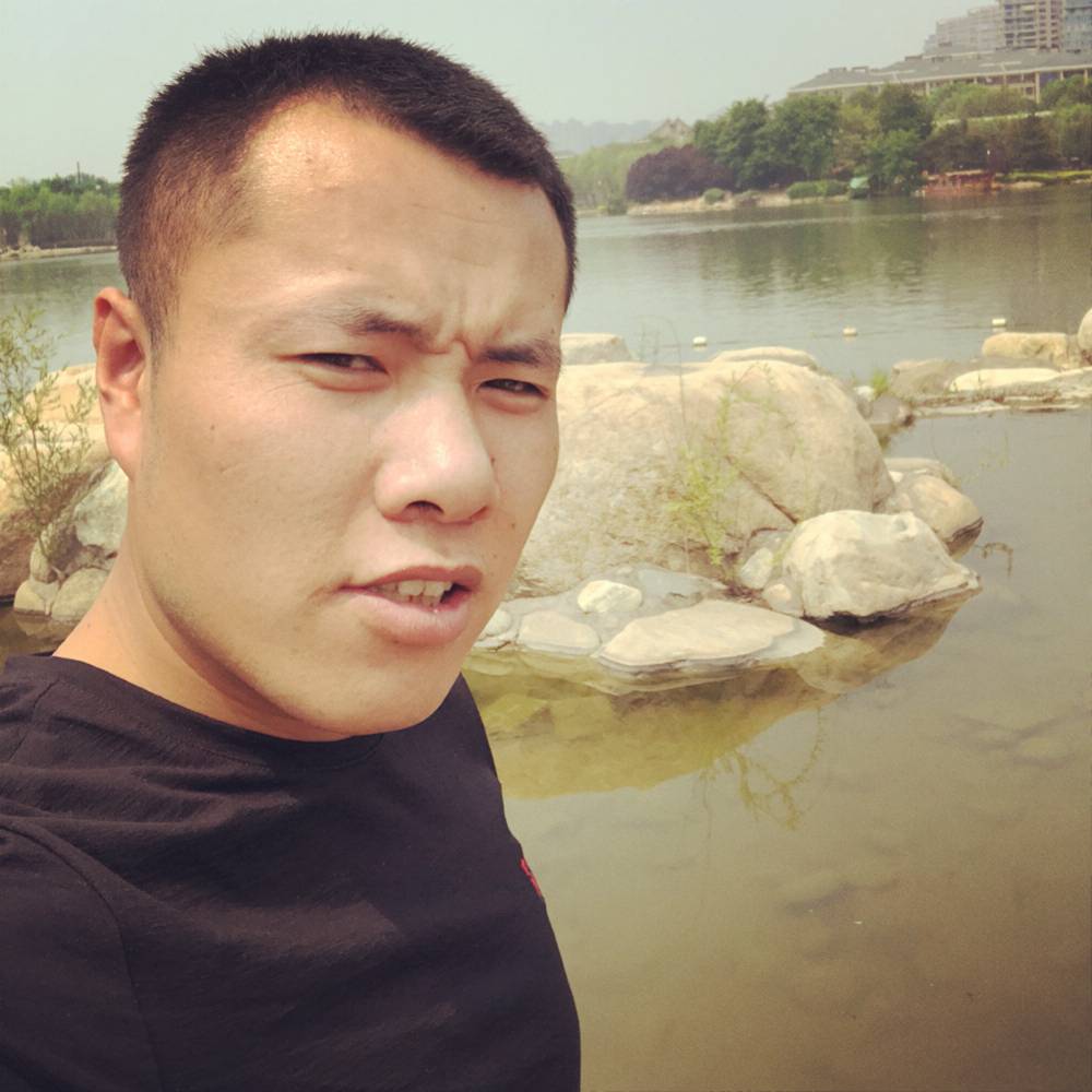 单纯向小海豚的照片