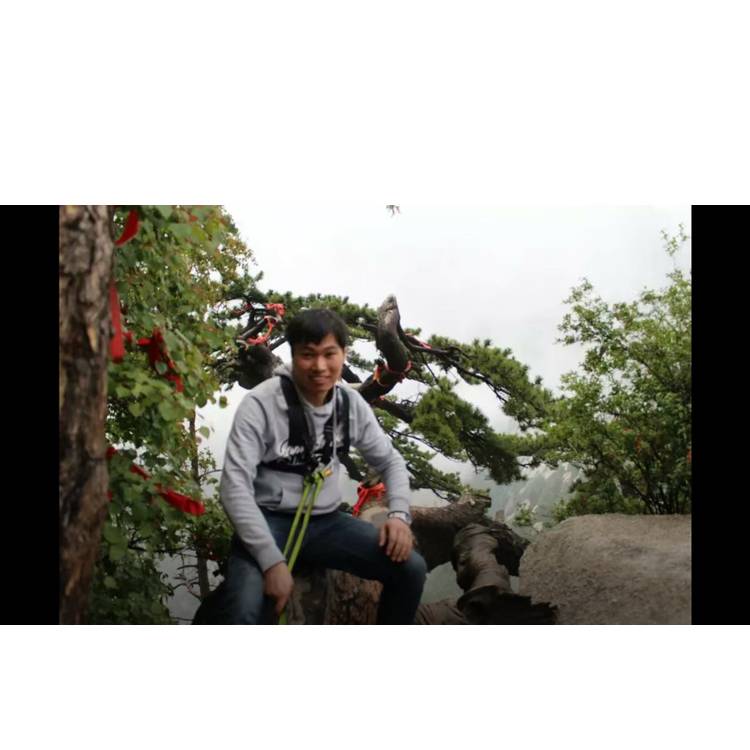 百合扯和谐的照片