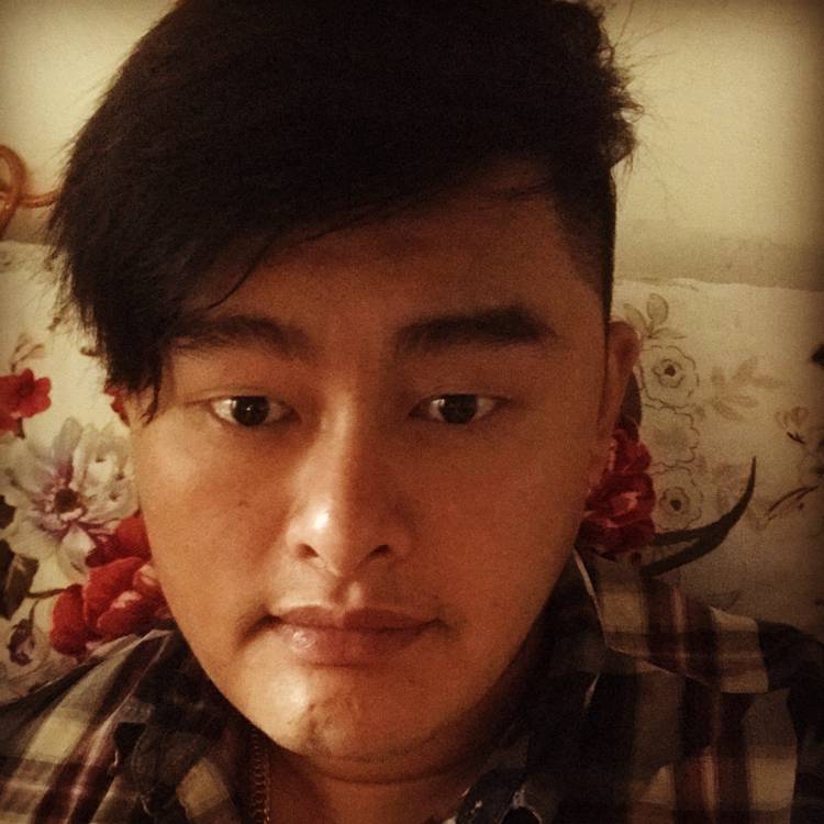09大杨23的照片