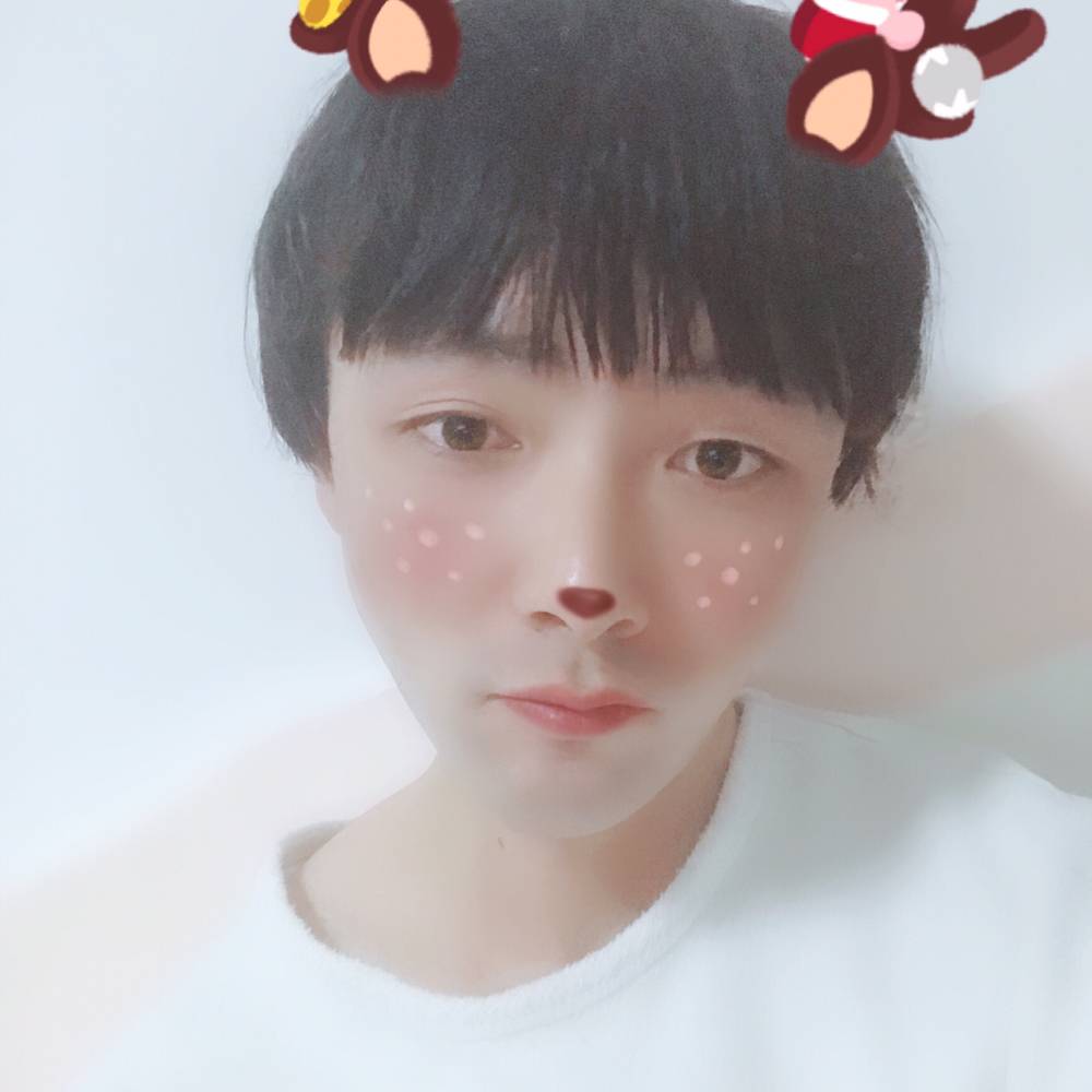 笨笨漫步白昼的照片