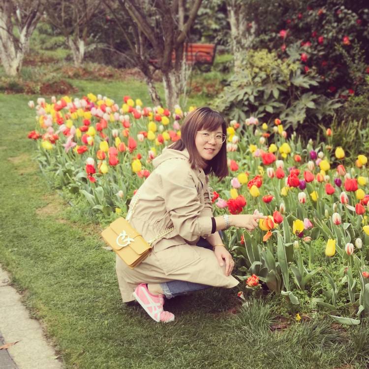 芹菜与留胡子的照片