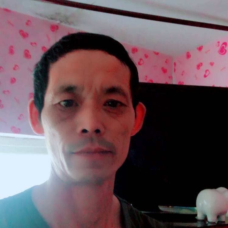 健壮爱恋百合的照片