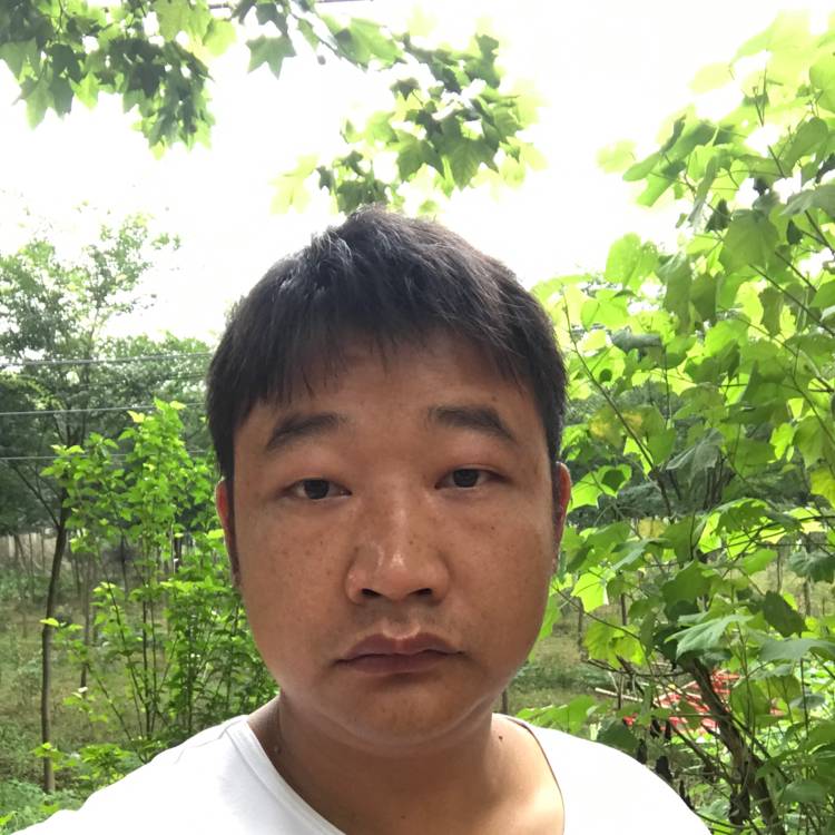灵活胖子,的照片