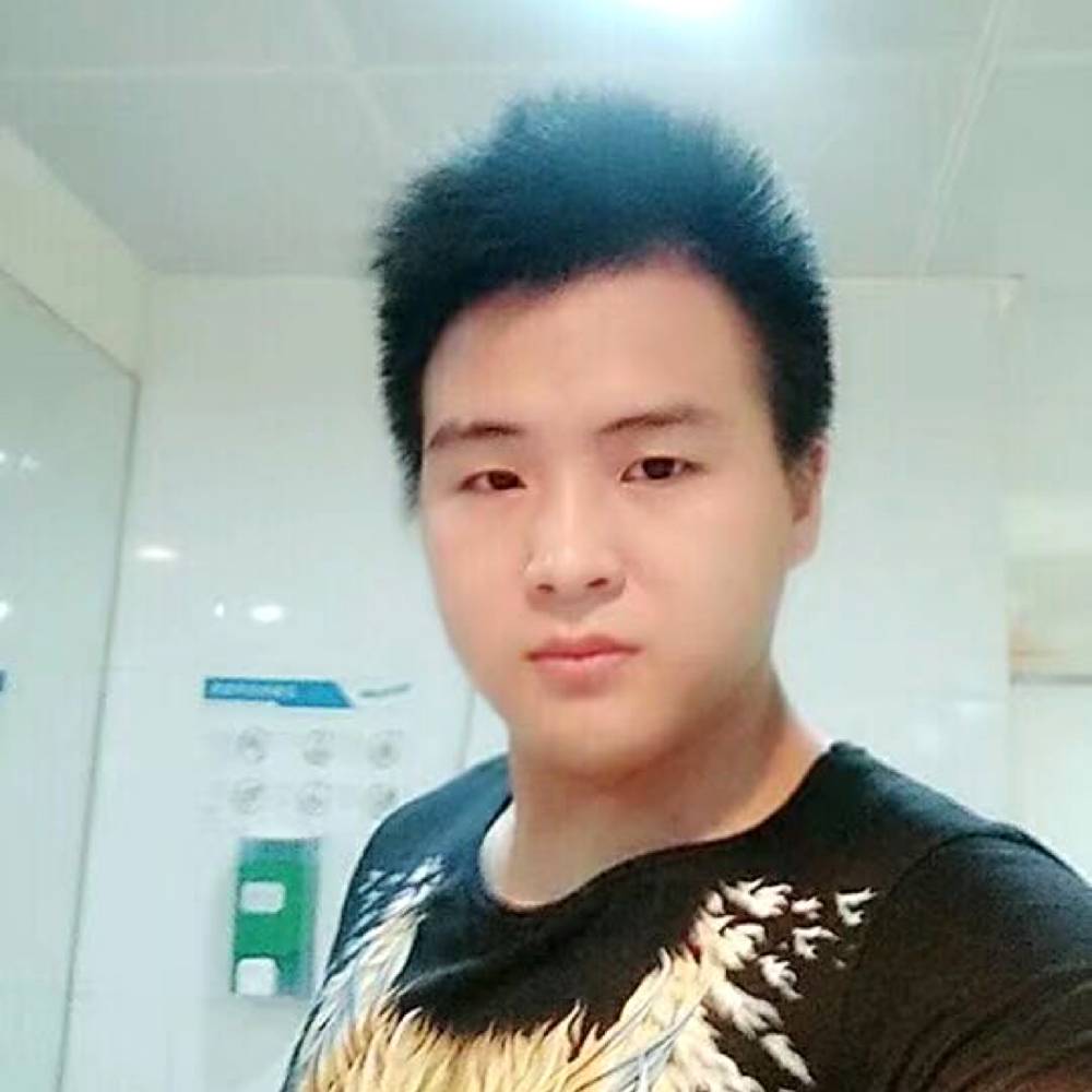 森槿繁荣的照片