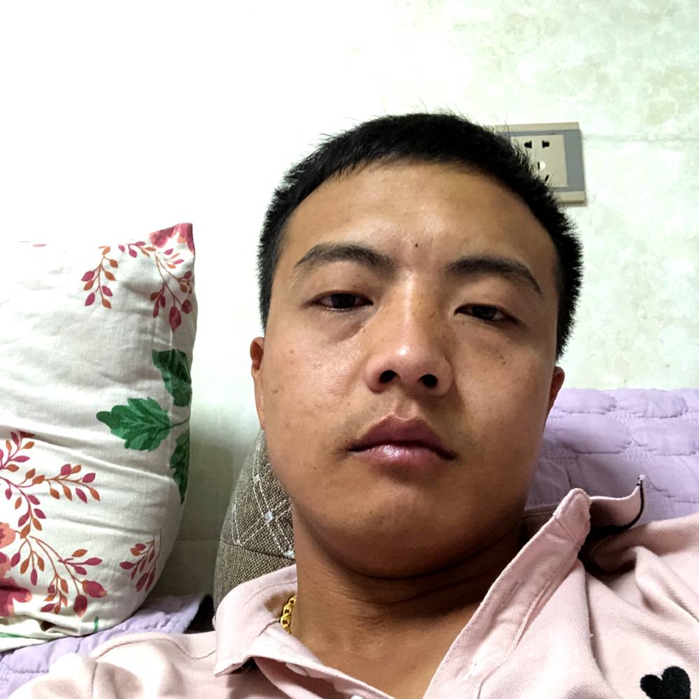 体贴邂逅鸭子的照片