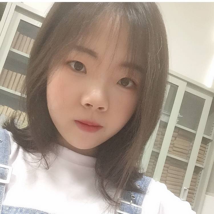 传统小鸽子的照片