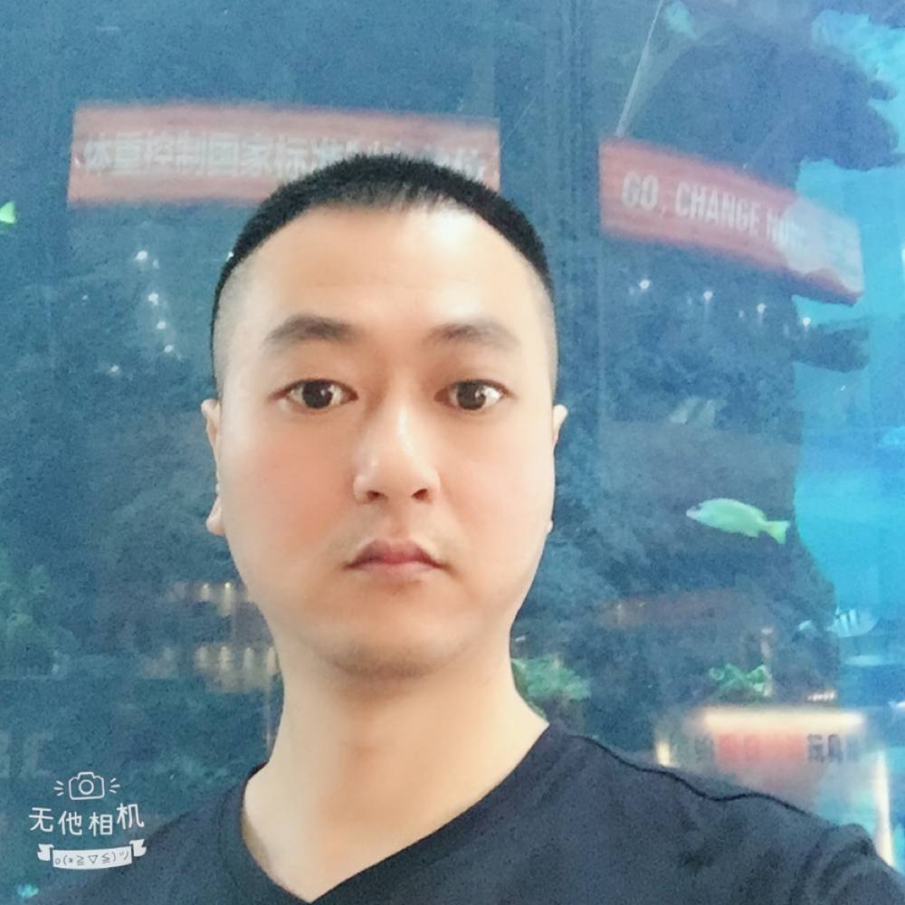 炙热拾忆仙人掌的照片