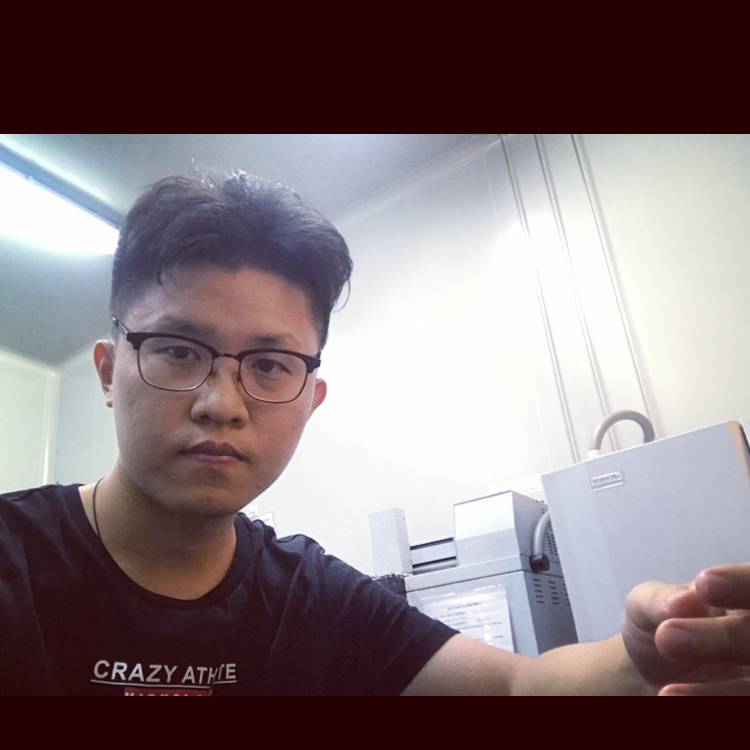 麦鸡的照片