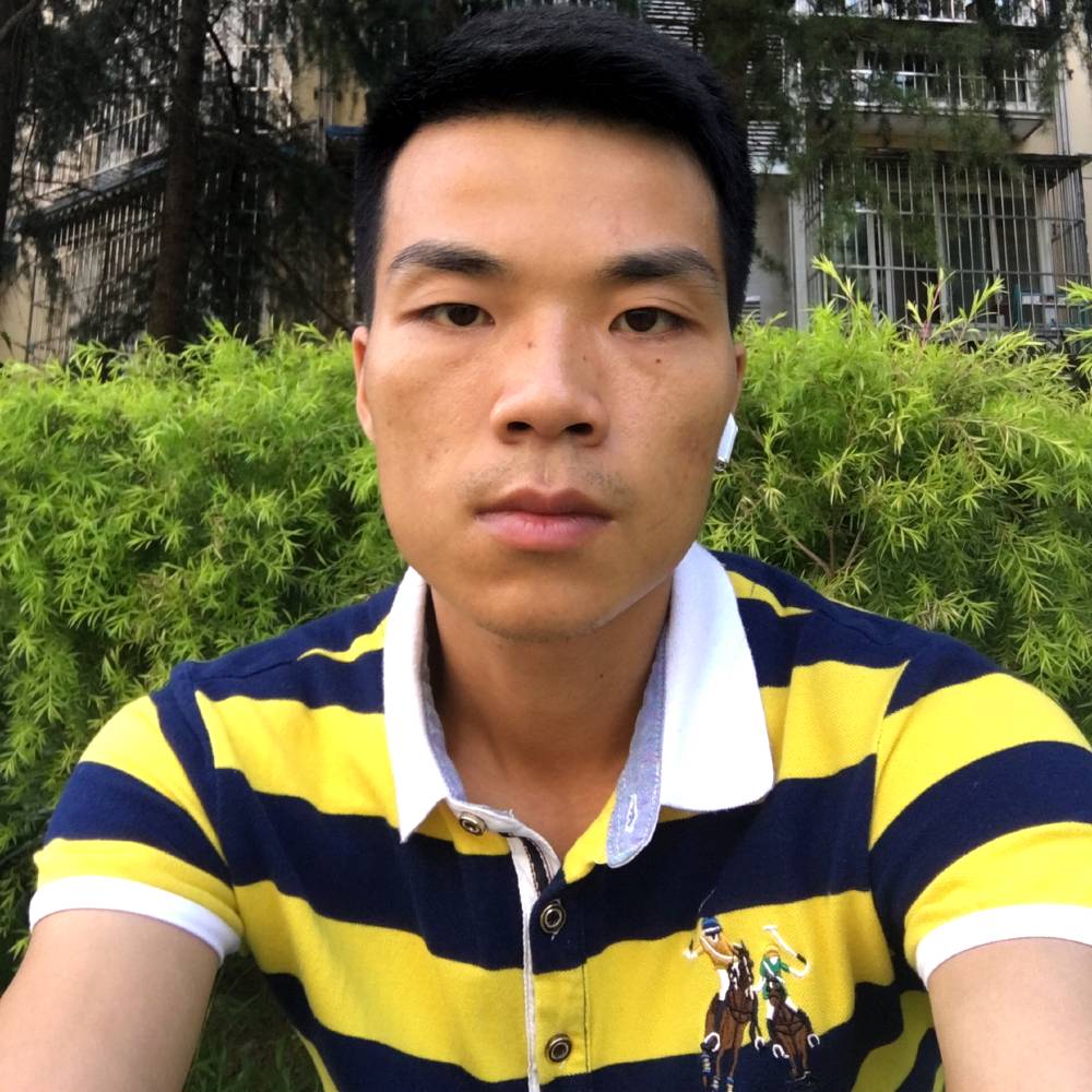 衬衫自然的照片