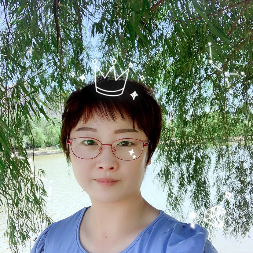 迷路打小海豚的照片